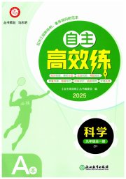 自主高效练九年级科学浙教版
