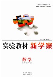 实验教材新学案九年级数学人教版