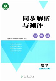 同步解析与测评学考练八年级数学人教版