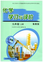 化学学习与评价九年级鲁教版