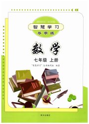 智慧学习七年级数学人教版