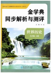 金学典同步解析与测评贵州人民出版社九年级历史人教版