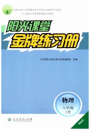 阳光课堂金牌练习册八年级物理人教版精编版