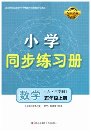 同步练习册青岛出版社五年级数学青岛版