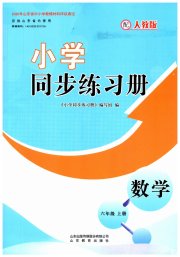 同步练习册山东教育出版社六年级数学人教版