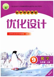 同步测控优化设计九年级化学人教版精编版