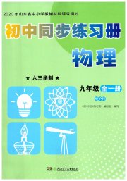 同步练习册湖南少年儿童出版社九年级物理沪科版