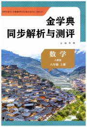 金学典同步解析与测评贵州人民出版社八年级数学人教版