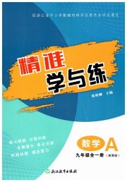 精准学与练九年级数学浙教版