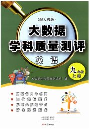 大数据学科质量测评九年级英语人教版