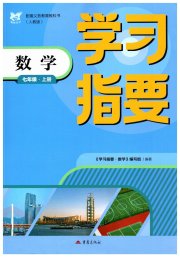学习指要七年级数学人教版