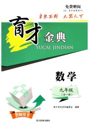 育才金典九年级数学北师大版