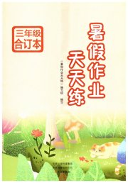 暑假作业天天练三年级文心出版社