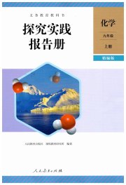 探究实践报告册九年级化学人教版精编版