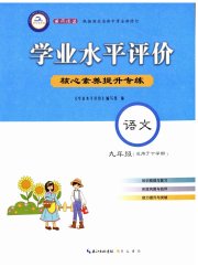 学业水平评价九年级语文人教版