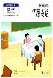新课程课堂同步练习册九年级数学华师大版