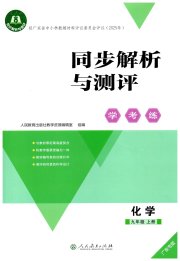 同步解析与测评学考练九年级化学人教版广东专版