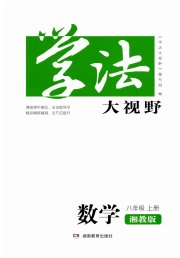 学法大视野八年级数学湘教版