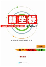 新坐标同步练习九年级数学人教版青海专用
