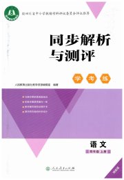 同步解析与测评学考练四年级语文人教版精练版