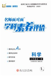 名师面对面学科素养评价九年级科学浙教版