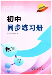 同步练习册山东科学技术出版社八年级物理教科版