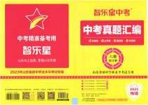 2023年智樂星中考中考真題匯編物理山東專版