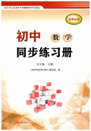 同步练习册泰山出版社九年级数学青岛版