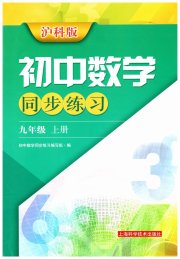 初中数学同步练习九年级沪科版上海科学技术出版社