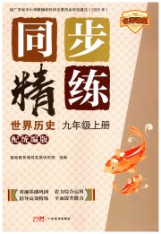 同步精练广东九年级历史人教版
