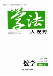 学法大视野九年级数学湘教版贵州专版