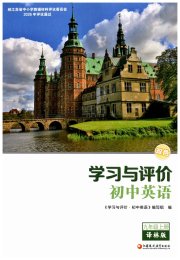 学习与评价九年级英语译林版江苏教育出版社