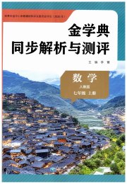 金学典同步解析与测评贵州人民出版社七年级数学人教版