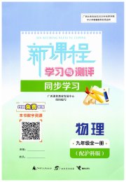 新课程学习与测评同步学习九年级物理沪科版