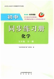 同步练习册明天出版社九年级化学鲁教版五四制