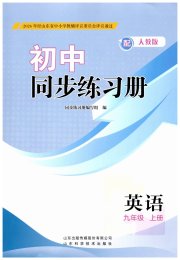 同步练习册山东科学技术出版社九年级英语人教版