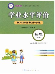 学业水平评价九年级物理人教版