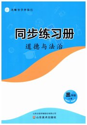 同步练习册山东美术出版社三年级道德与法治人教版