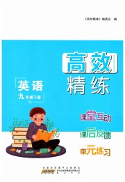 高效精练九年级英语译林版