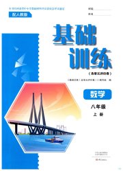 基础训练八年级数学人教版河南专版大象出版社