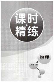 精练课堂分层作业八年级物理人教版