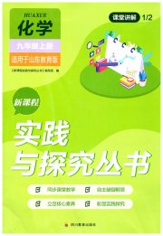 新课程实践与探究丛书九年级化学山东教育版