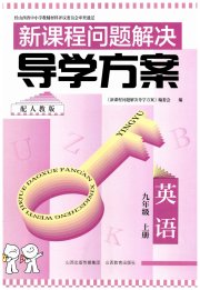 新课程问题解决导学方案九年级英语人教版