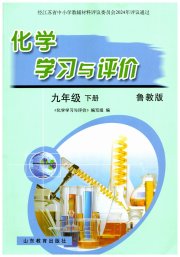 化学学习与评价九年级鲁教版