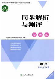 同步解析与测评学考练九年级物理人教版广东专版