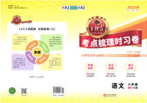 2023年王朝霞考点梳理时习卷六年级语文下册人教版