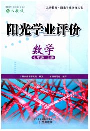 阳光学业评价七年级数学人教版