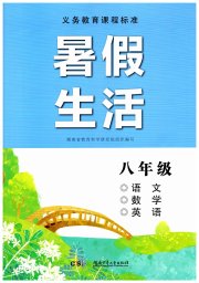 暑假生活湖南少年儿童出版社八年级语数英综合
