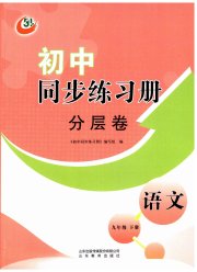 同步练习册分层拓展九年级语文人教版54制