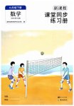 2026年新课程课堂同步练习册九年级数学下册华师大版